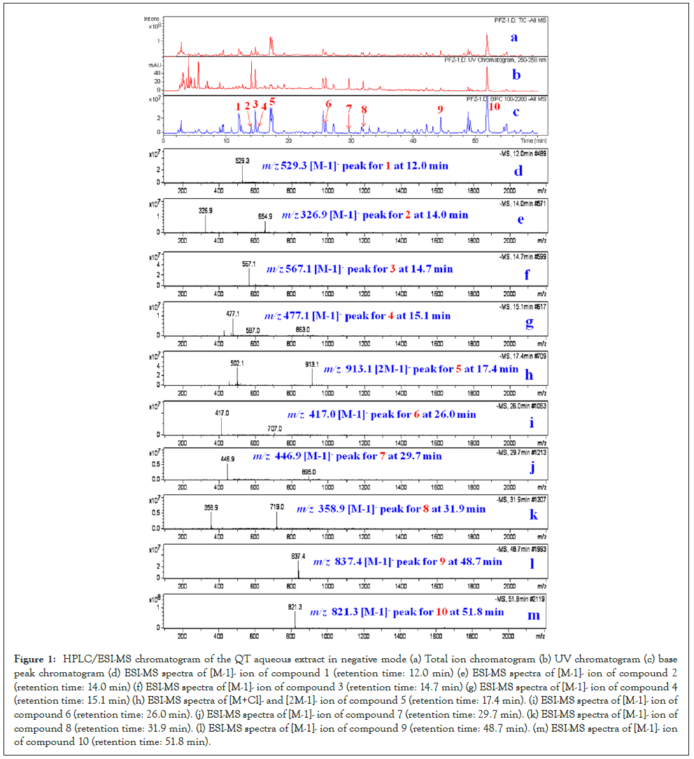 chromatogram