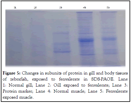 Clinical-Toxicology-Gill