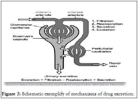 Clinical-Toxicology-drug