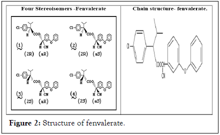 Clinical-Toxicology-fenvalerate