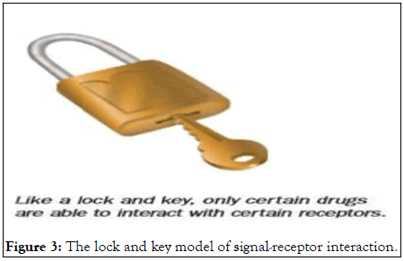 Clinical-Toxicology-lock