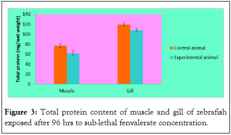 Clinical-Toxicology-zebrafish