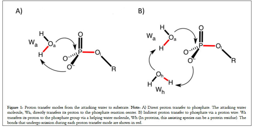 Proton