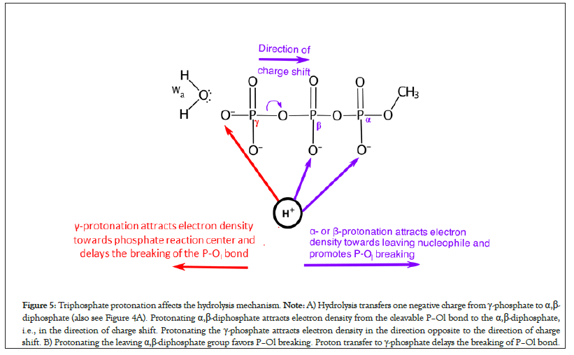 mechanism