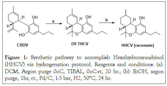 pathway