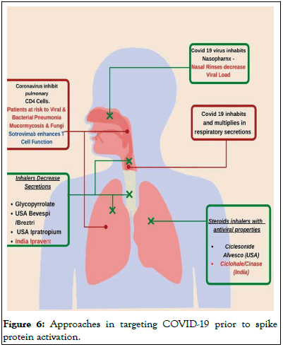 Diseases-Medicine