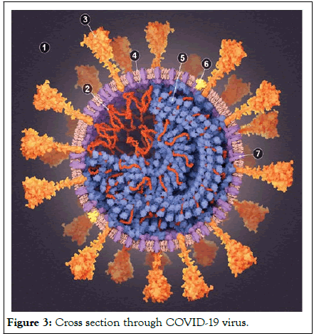 Diseases-Medicine