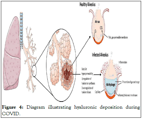 Diseases-Medicine