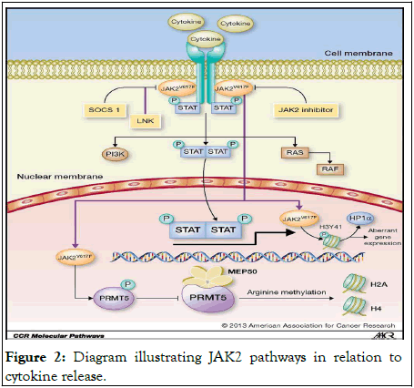 Diseases-Medicine