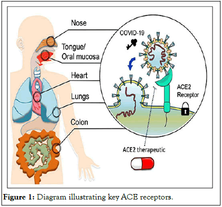 Diseases-Medicine