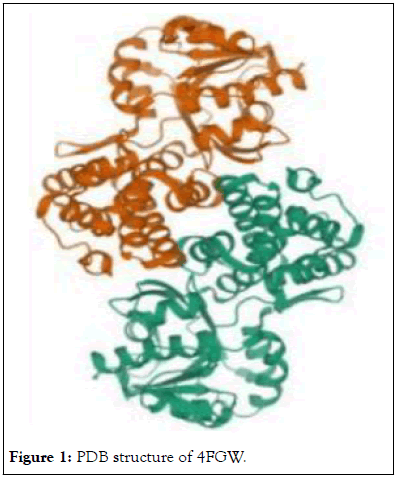 Drug-Designing-PDB