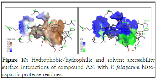 Drug-Designing