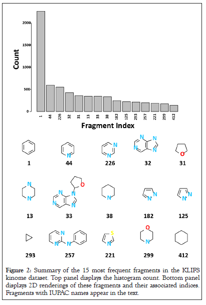 fragments