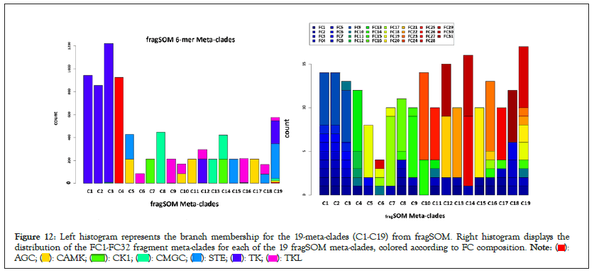 histogram