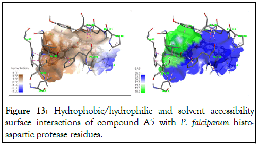 Drug-Designing