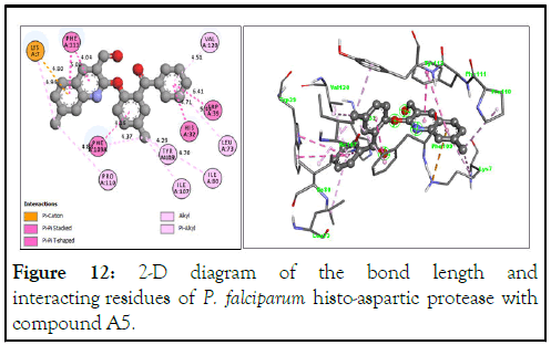 Drug-Designing