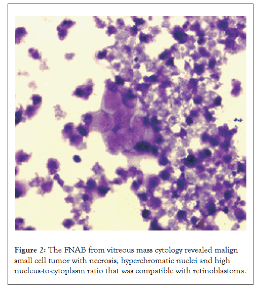 cytology