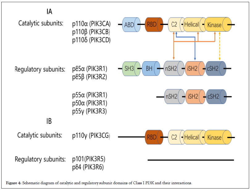 regulatory