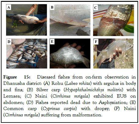 Fisheries-Aquaculture