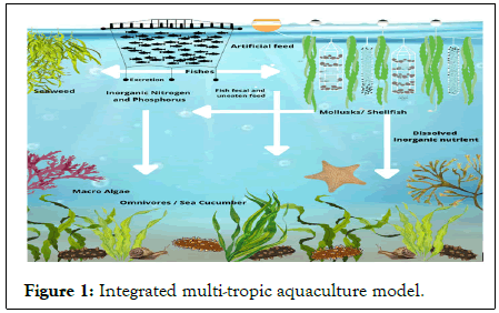 Fisheries-Aquaculture-Integrated