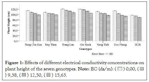 electrical