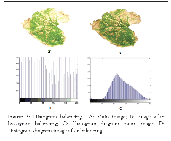 Histogram