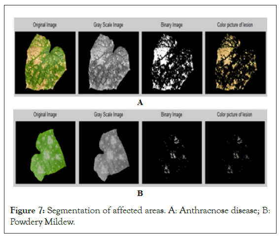 Segmentation