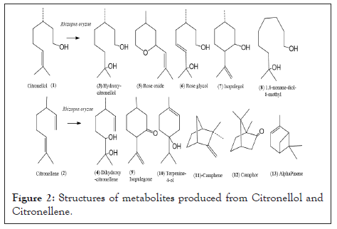 metabolites