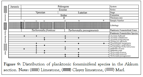 Clayey