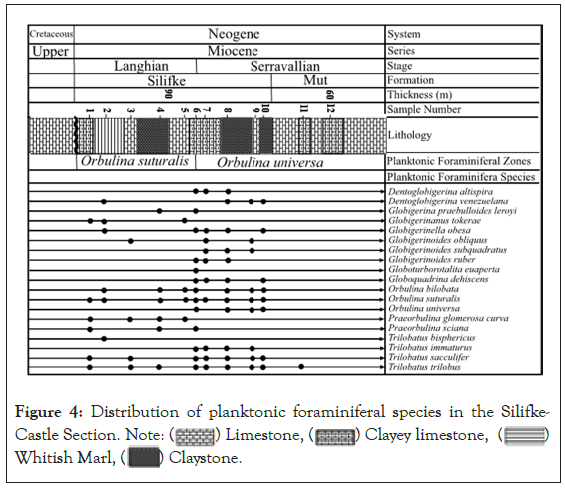 Distribution