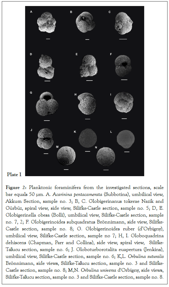 Planktonic