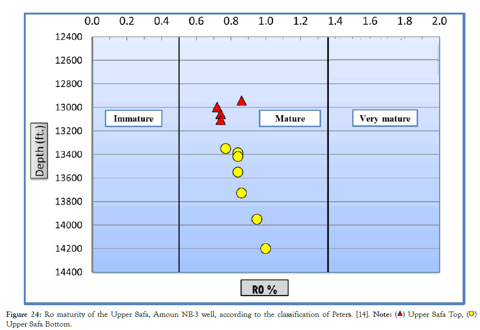 Geology-Geophysics-Safa