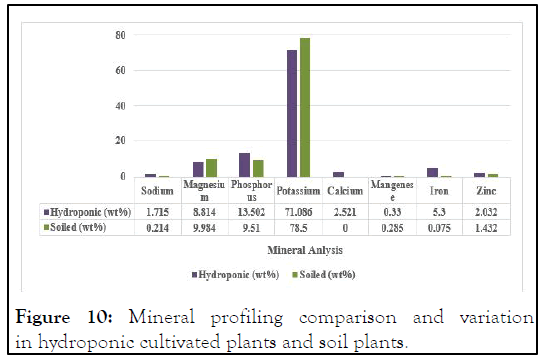 HORTICULTURE-Mineral