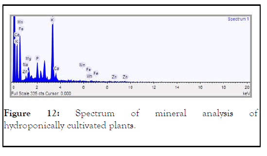 HORTICULTURE-analysis