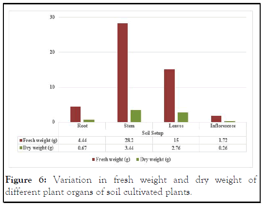 HORTICULTURE-weight