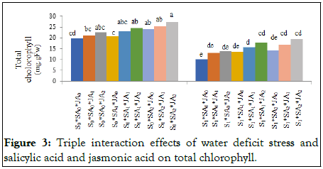 Horticulture-chlorophyll