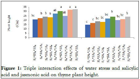 Horticulture-height