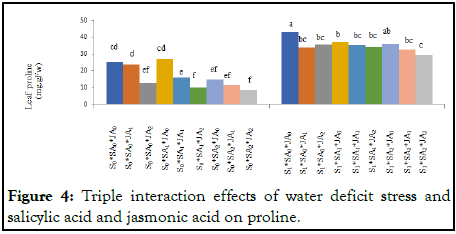 Horticulture-jasmonic