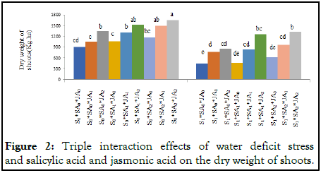 Horticulture-salicylic