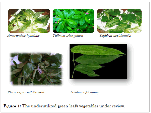Horticulture-vegetables