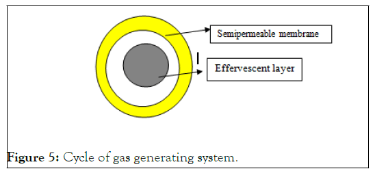 JAP-Cycle