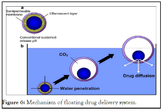 JAP-drug