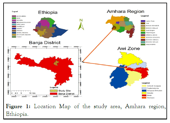 JBFBP-Map