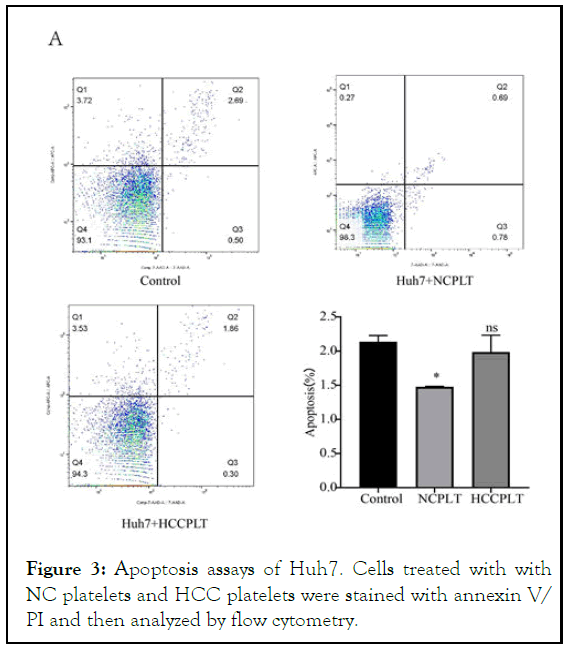 JCCLM-assays