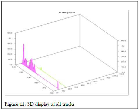 JCGST-3D