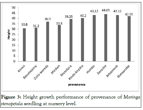 JFOR-Height