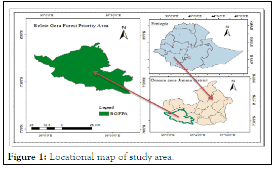 JFOR-Locational