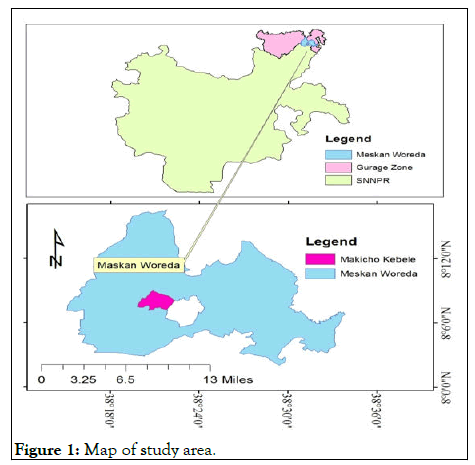 JFOR-Map