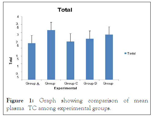 JNFS-Graph