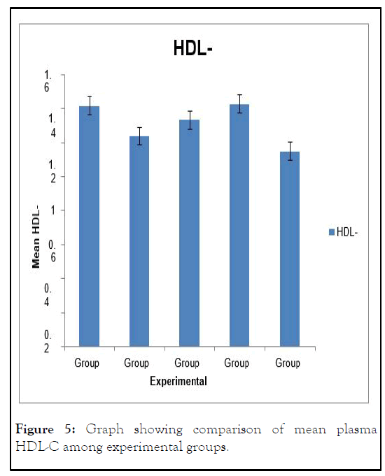 JNFS-HDL